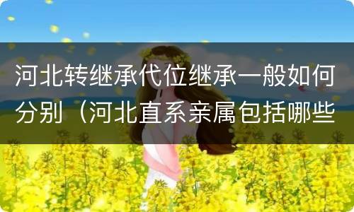 河北转继承代位继承一般如何分别（河北直系亲属包括哪些）