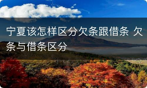 宁夏该怎样区分欠条跟借条 欠条与借条区分