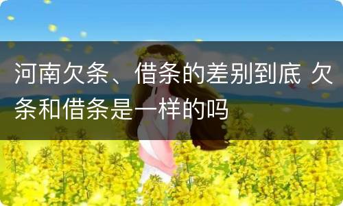 河南欠条、借条的差别到底 欠条和借条是一样的吗