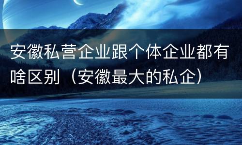 安徽私营企业跟个体企业都有啥区别（安徽最大的私企）