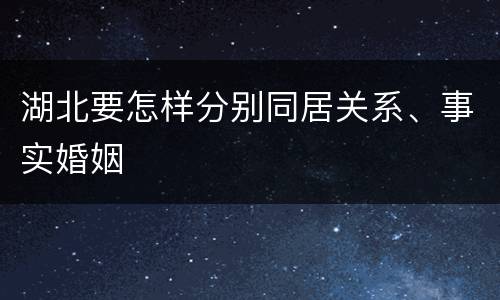 湖北要怎样分别同居关系、事实婚姻
