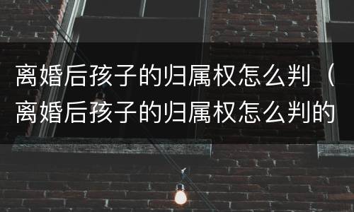 离婚后孩子的归属权怎么判（离婚后孩子的归属权怎么判的）