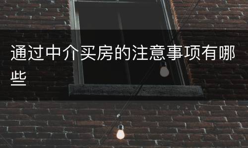 通过中介买房的注意事项有哪些