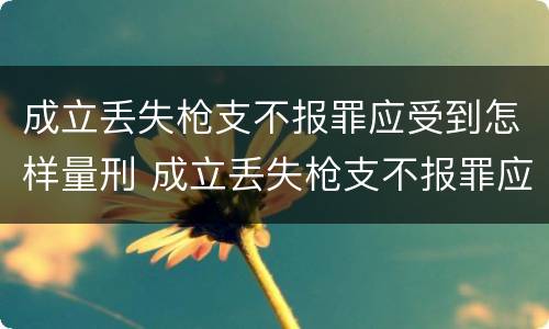 成立丢失枪支不报罪应受到怎样量刑 成立丢失枪支不报罪应受到怎样量刑呢