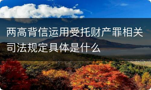 两高背信运用受托财产罪相关司法规定具体是什么