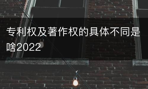 专利权及著作权的具体不同是啥2022