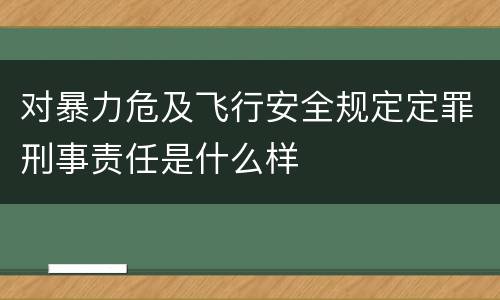 对暴力危及飞行安全规定定罪刑事责任是什么样