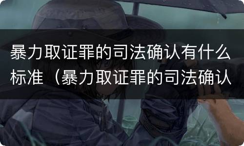 暴力取证罪的司法确认有什么标准（暴力取证罪的司法确认有什么标准吗）