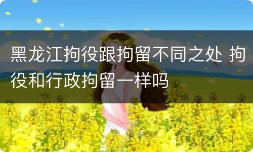 黑龙江拘役跟拘留不同之处 拘役和行政拘留一样吗