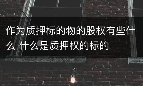 作为质押标的物的股权有些什么 什么是质押权的标的