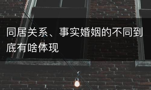 同居关系、事实婚姻的不同到底有啥体现