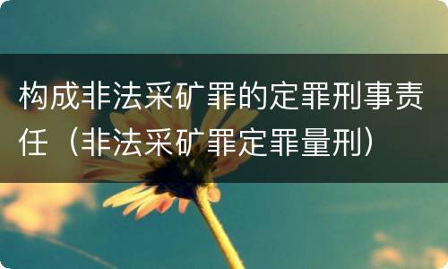 构成非法采矿罪的定罪刑事责任（非法采矿罪定罪量刑）