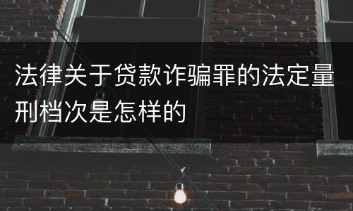 法律关于贷款诈骗罪的法定量刑档次是怎样的