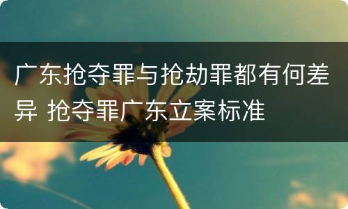 广东抢夺罪与抢劫罪都有何差异 抢夺罪广东立案标准
