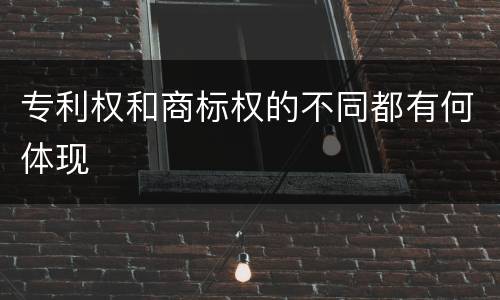 专利权和商标权的不同都有何体现
