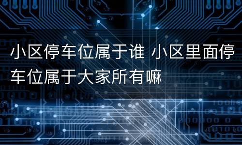 小区停车位属于谁 小区里面停车位属于大家所有嘛