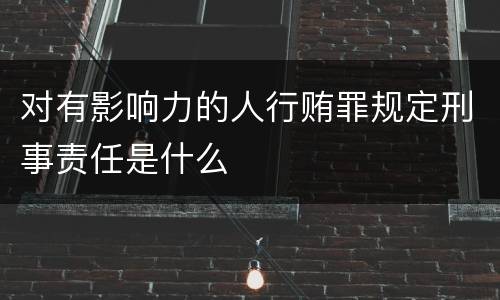 对有影响力的人行贿罪规定刑事责任是什么