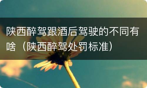 陕西醉驾跟酒后驾驶的不同有啥（陕西醉驾处罚标准）