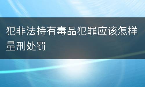 犯非法持有毒品犯罪应该怎样量刑处罚