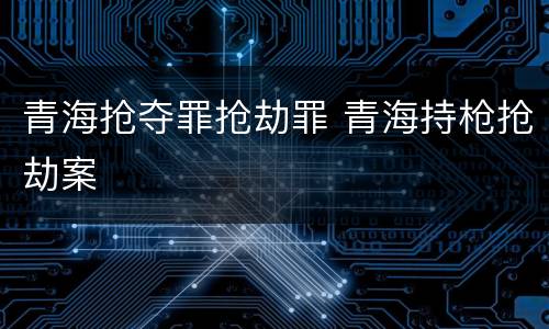 青海抢夺罪抢劫罪 青海持枪抢劫案