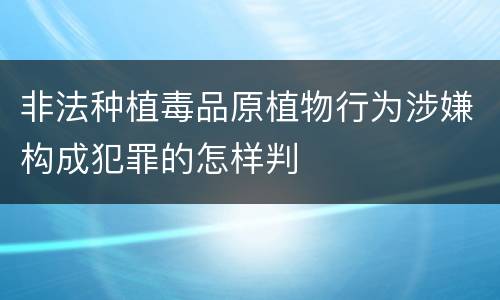 非法种植毒品原植物行为涉嫌构成犯罪的怎样判