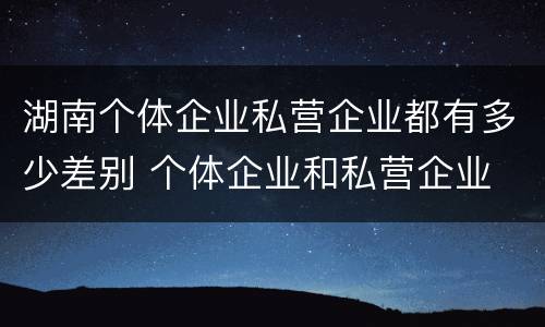 湖南个体企业私营企业都有多少差别 个体企业和私营企业