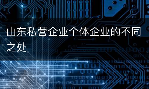山东私营企业个体企业的不同之处