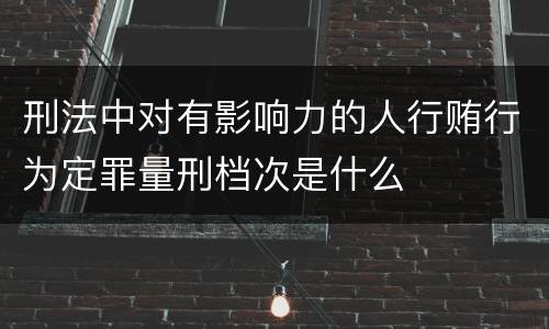 刑法中对有影响力的人行贿行为定罪量刑档次是什么