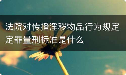 法院对传播淫秽物品行为规定定罪量刑标准是什么