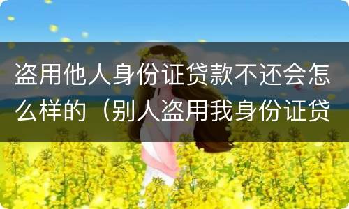 盗用他人身份证贷款不还会怎么样的（别人盗用我身份证贷款构成犯罪吗）
