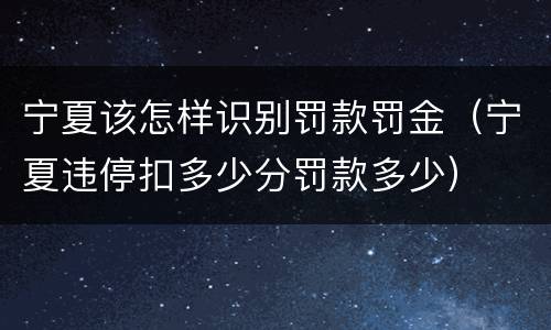宁夏该怎样识别罚款罚金（宁夏违停扣多少分罚款多少）