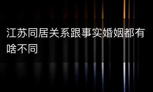 江苏同居关系跟事实婚姻都有啥不同