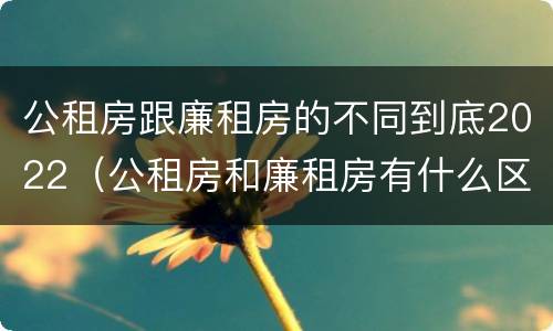 公租房跟廉租房的不同到底2022（公租房和廉租房有什么区别?2019年的）