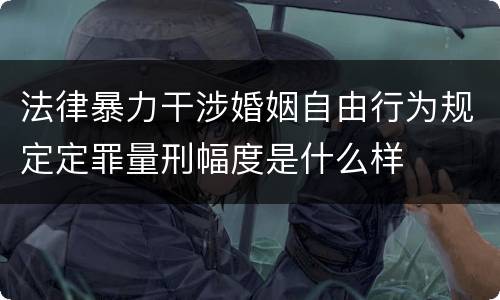 法律暴力干涉婚姻自由行为规定定罪量刑幅度是什么样
