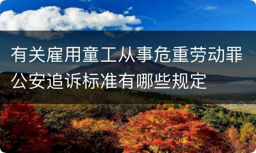 有关雇用童工从事危重劳动罪公安追诉标准有哪些规定