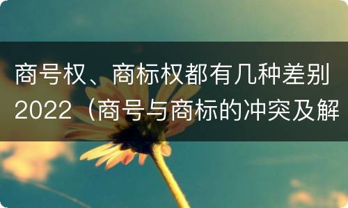 商号权、商标权都有几种差别2022（商号与商标的冲突及解决措施）