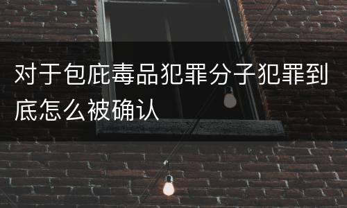 对于包庇毒品犯罪分子犯罪到底怎么被确认