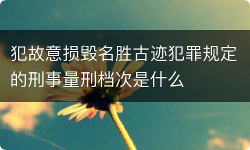犯故意损毁名胜古迹犯罪规定的刑事量刑档次是什么