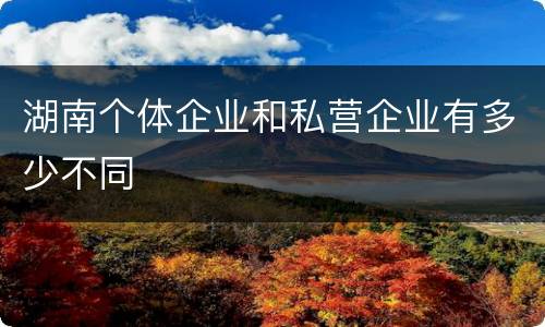 湖南个体企业和私营企业有多少不同