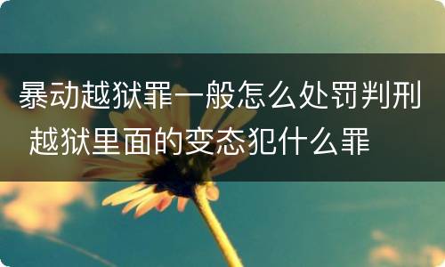 暴动越狱罪一般怎么处罚判刑 越狱里面的变态犯什么罪