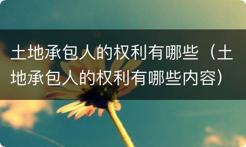 土地承包人的权利有哪些（土地承包人的权利有哪些内容）