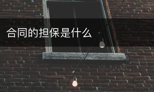 合同的担保是什么