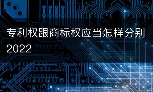 专利权跟商标权应当怎样分别2022
