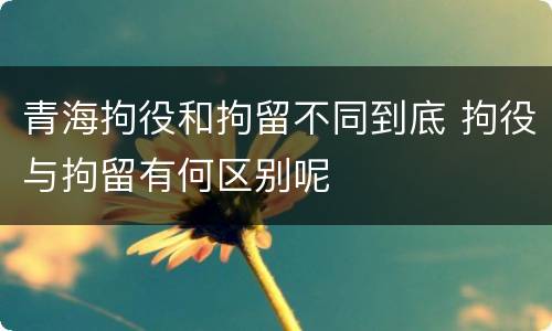 青海拘役和拘留不同到底 拘役与拘留有何区别呢