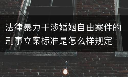 法律暴力干涉婚姻自由案件的刑事立案标准是怎么样规定