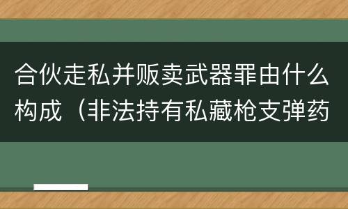 合伙走私并贩卖武器罪由什么构成（非法持有私藏枪支弹药罪的主体）