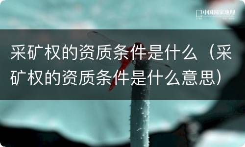 采矿权的资质条件是什么（采矿权的资质条件是什么意思）
