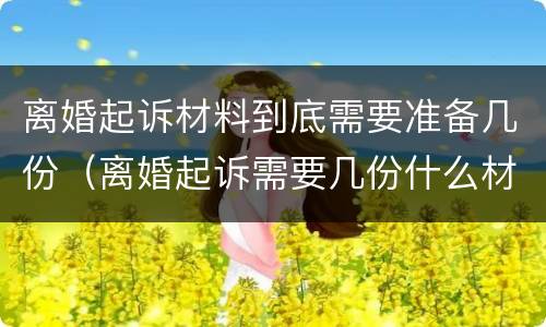 离婚起诉材料到底需要准备几份（离婚起诉需要几份什么材料）