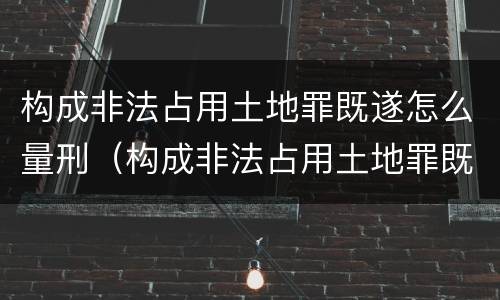 构成非法占用土地罪既遂怎么量刑（构成非法占用土地罪既遂怎么量刑的）