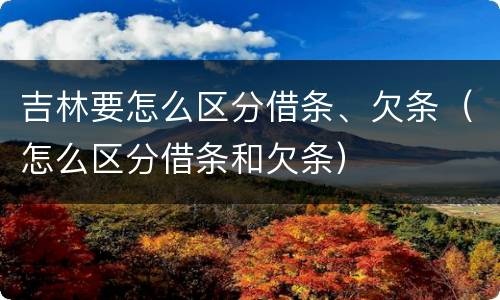 吉林要怎么区分借条、欠条（怎么区分借条和欠条）